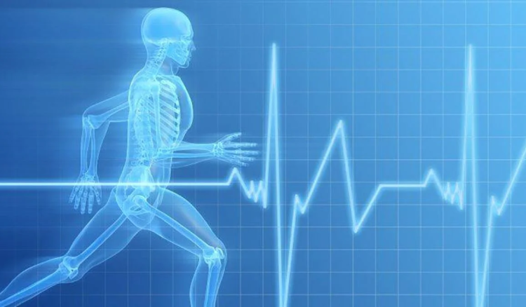 ¿Cómo Monitorear el Ritmo Cardíaco en el Entrenamiento? Mejora tu Rendimiento