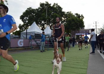 SPLIT ADIDAS 16 K GDL