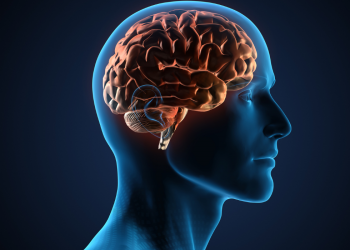 El Cerebro de un Corredor: ¡El Secreto que Nunca Te Contaron!