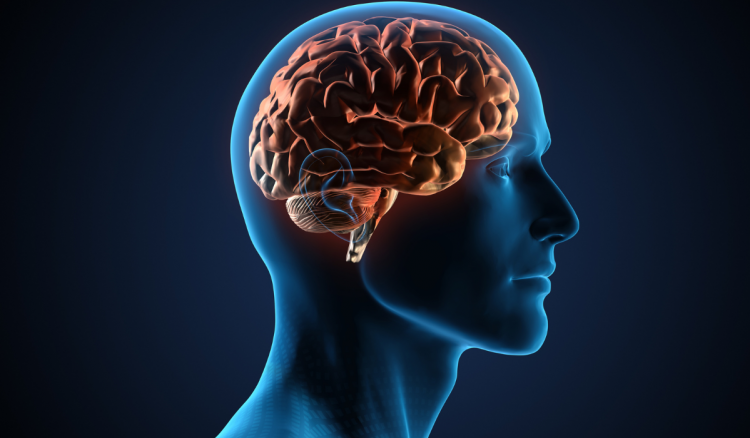 El Cerebro de un Corredor: ¡El Secreto que Nunca Te Contaron!