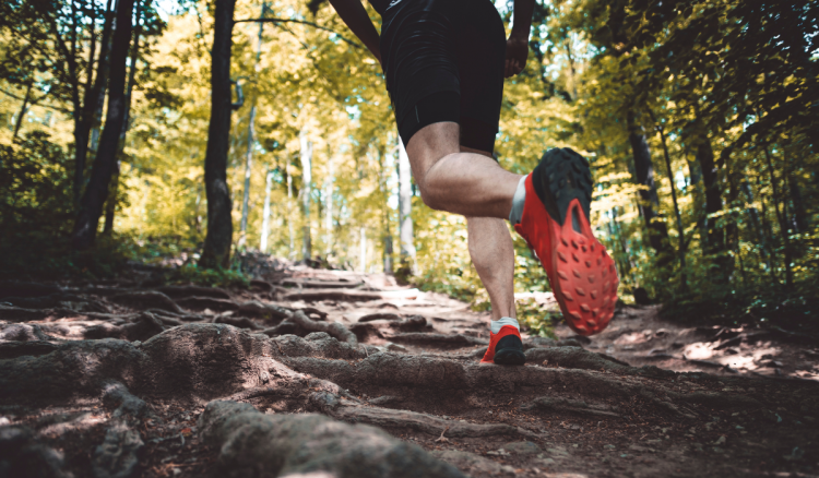 Domina Correr en Pendientes y Montañas como un Pro