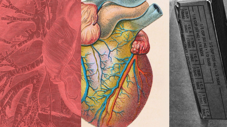Colesterol LDL: Claves para Salud Cardíaca