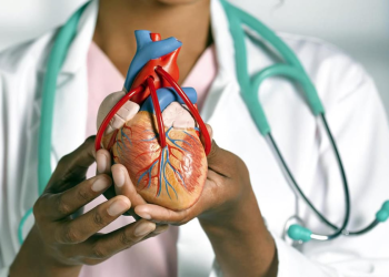 Alimentos ultraprocesados riesgo cardiovascular: 47% más