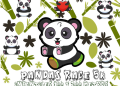 Pandas Race 5K & Infantiles 2026 en Chapultepec