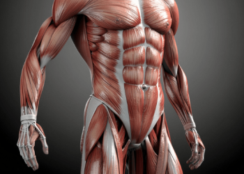 Ejercicios de fuerza para correr: Mejora tu rendimiento