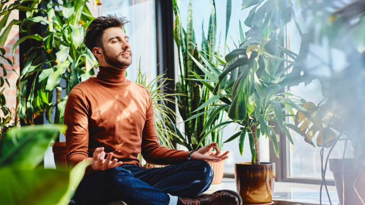 Aumentar serotonina: 5 hábitos naturales efectivos