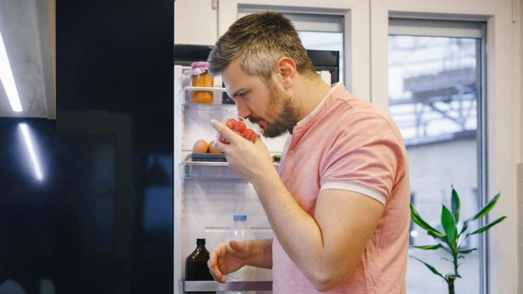 Como saber si la comida se echo a perder en calor